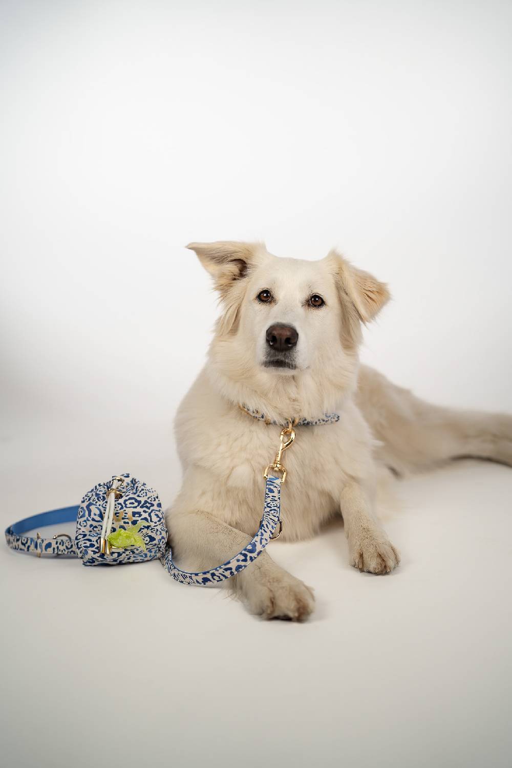 IVI GmbH BLUE LEO Halsband Neueste Mode
