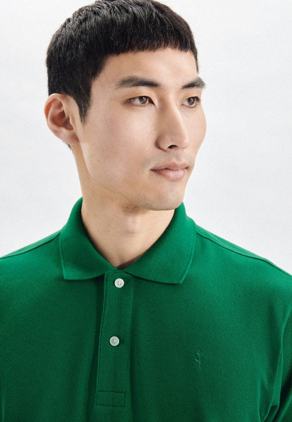 Studio Seidensticker Kragen Polo Regular Clearance-Verkauf
